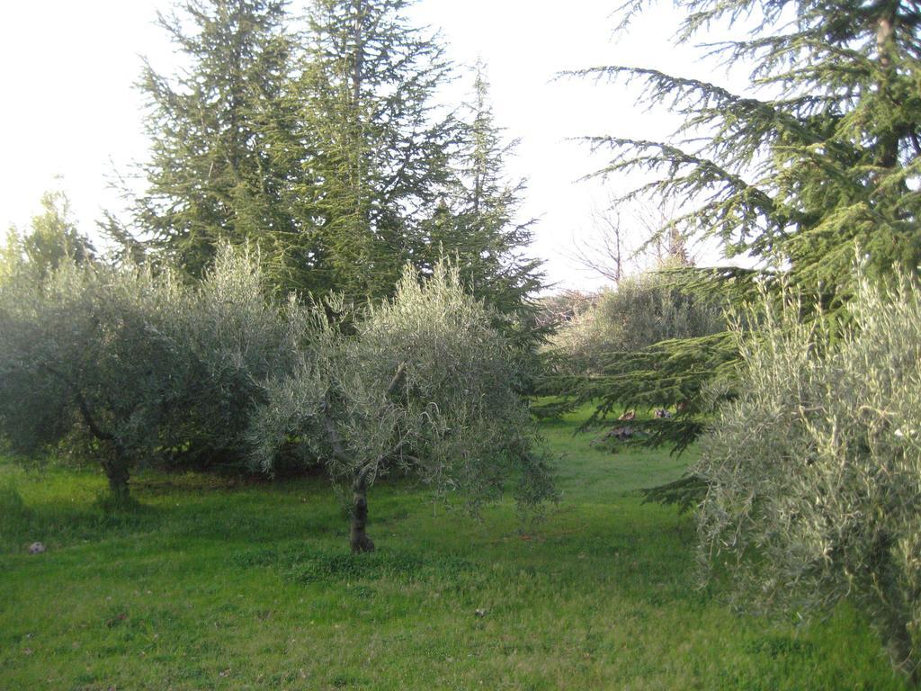 La Casa Del Cavaliere Villa Santa Maria di Licodia ห้อง รูปภาพ